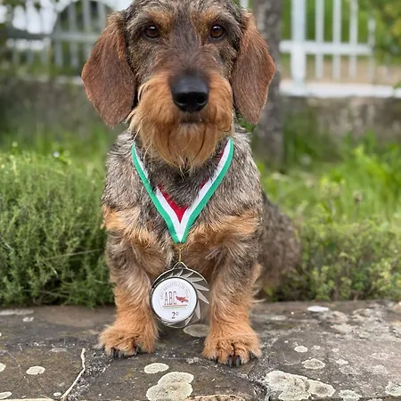 Lägenhet Bassotthouse Albera Ligure